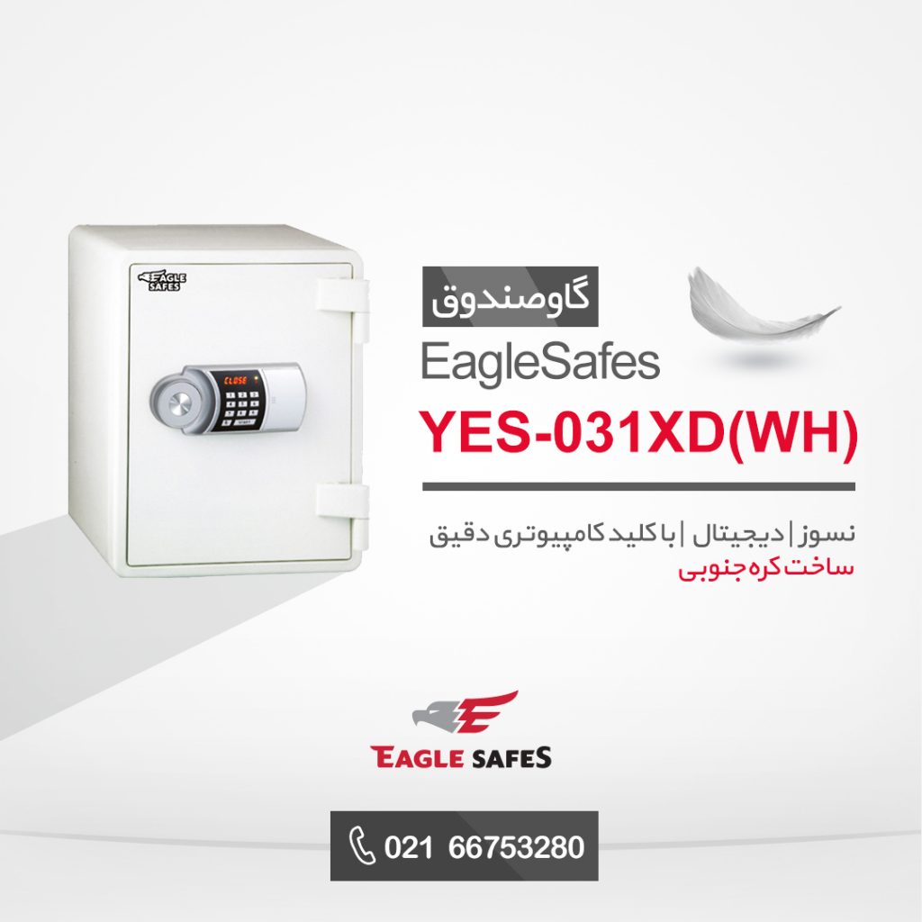 Eagle Safes Box
